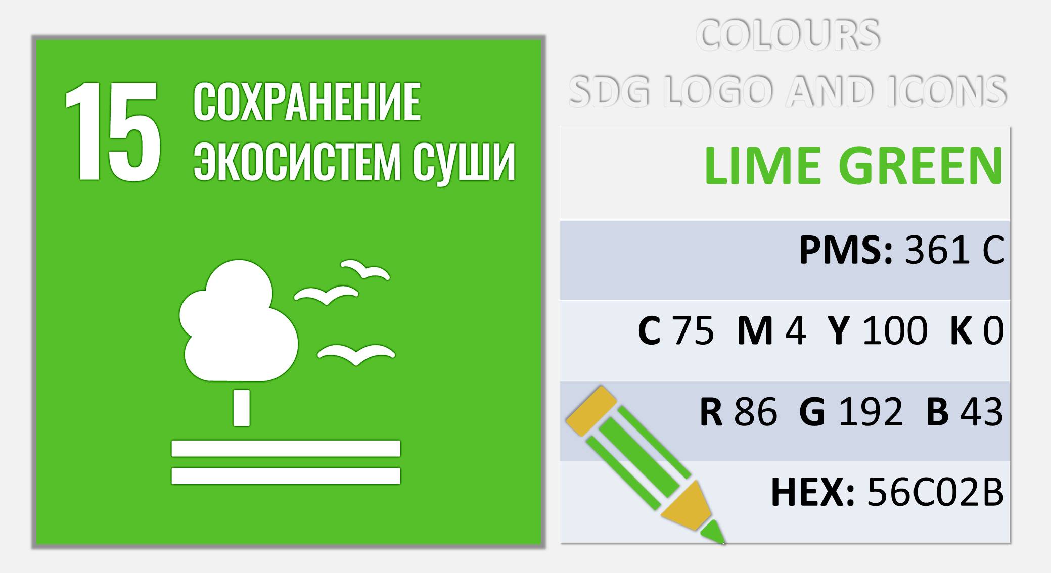Цвета SDG_16